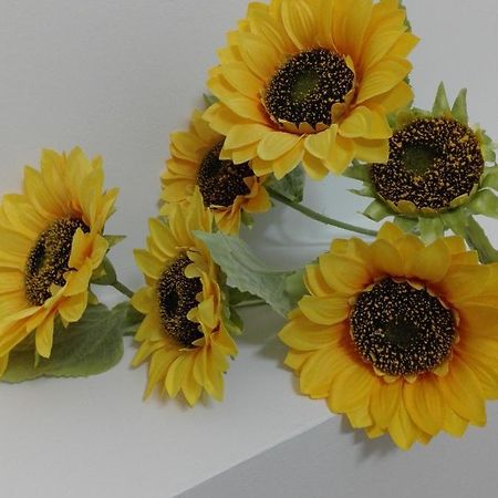 לינה וארוחת בוקר טרנטו Girasole Grazioli 47 מראה חיצוני תמונה