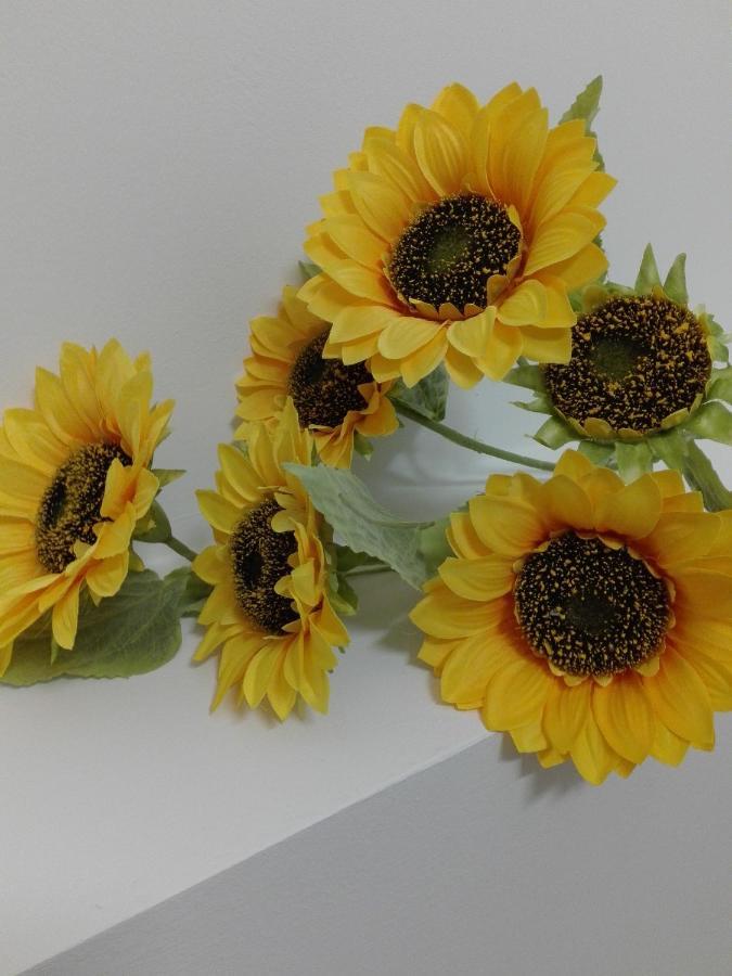 לינה וארוחת בוקר טרנטו Girasole Grazioli 47 מראה חיצוני תמונה